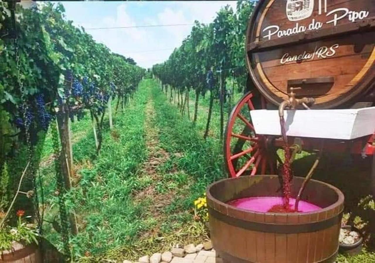 Chale Tematico Em Pipa De Vinho - Parada Da Pipa Chales Canela Kültér fotó