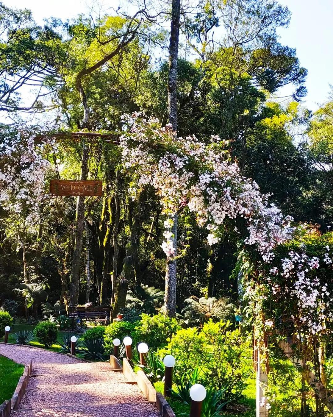 Chale Tematico Em Pipa De Vinho - Parada Da Pipa Chales Canela Kültér fotó